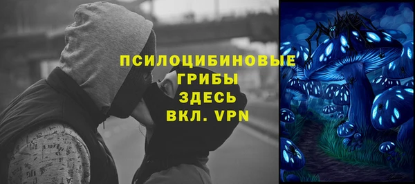 твердый Алексин