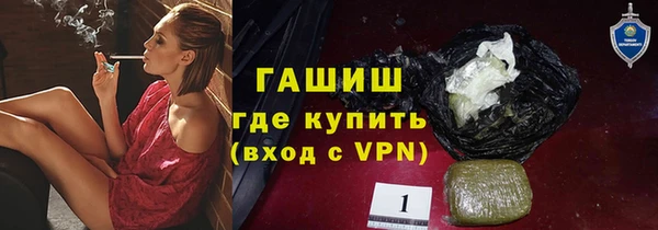 шишки Алзамай