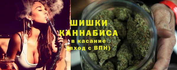 шишки Алзамай