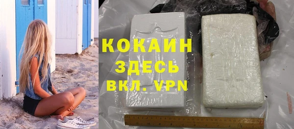 шишки Алзамай