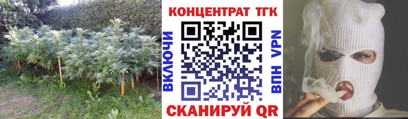mega зеркало  Белгород  ТГК Wax 