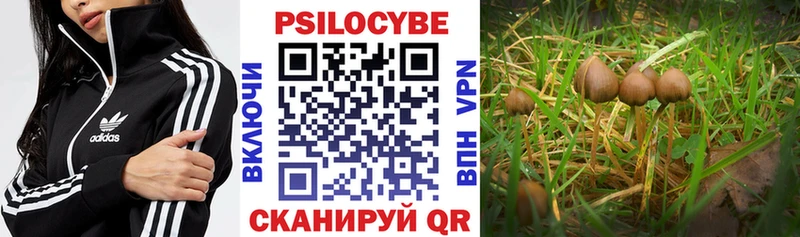 Галлюциногенные грибы мухоморы  где найти наркотики  Белгород 